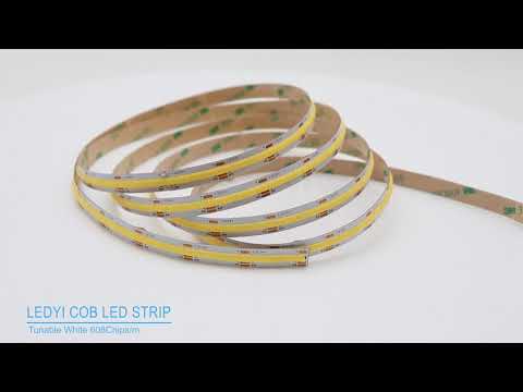 COB tunable white dual color CCT led strip
